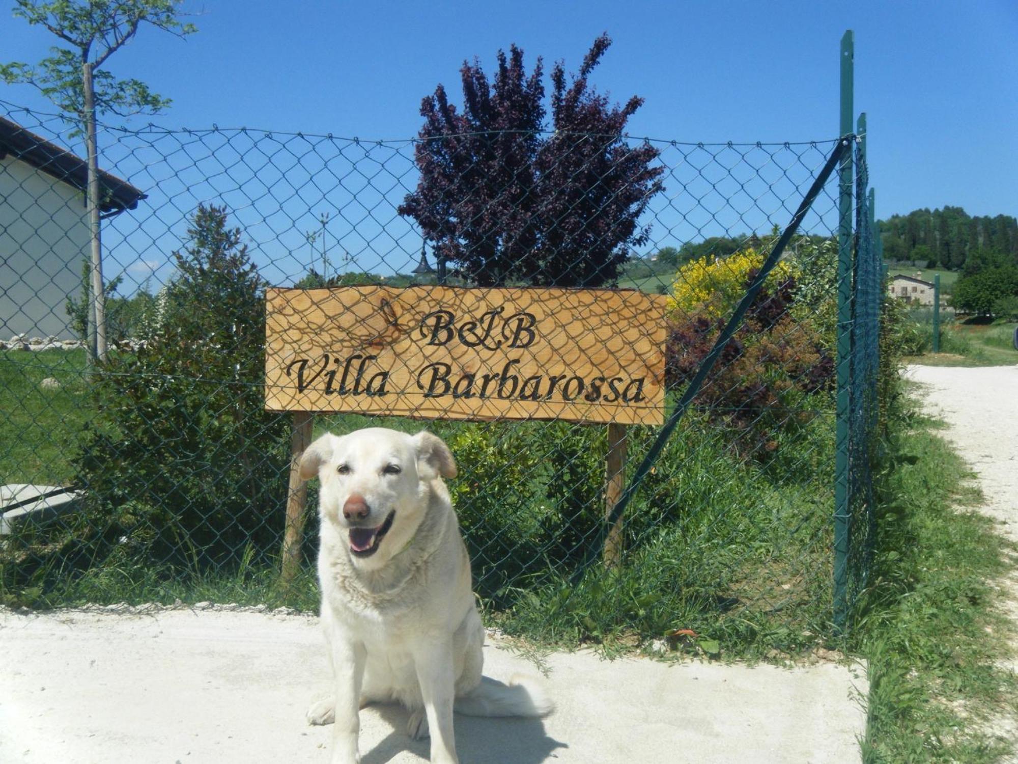 B&B Villa Barbarossa Petrignano Exterior foto